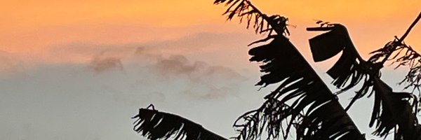 Clockwork599231 Profile Banner