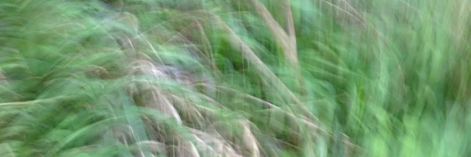 迷人 banner