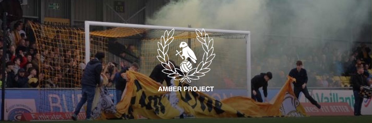 Amber Project banner