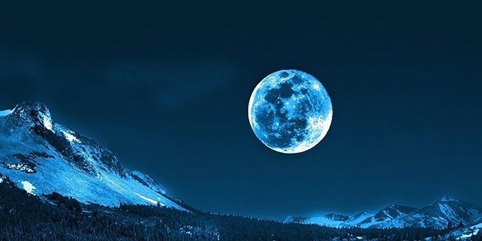 VenusAid's profile banner image