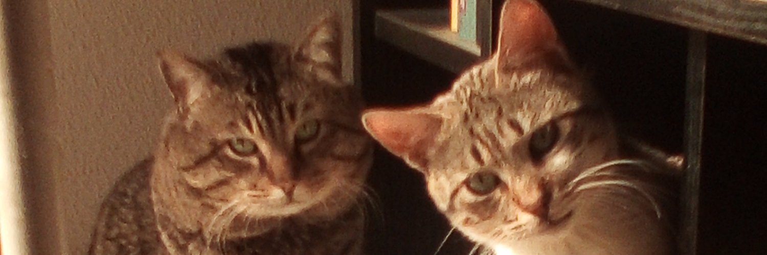 Juan Carlos Fibla banner