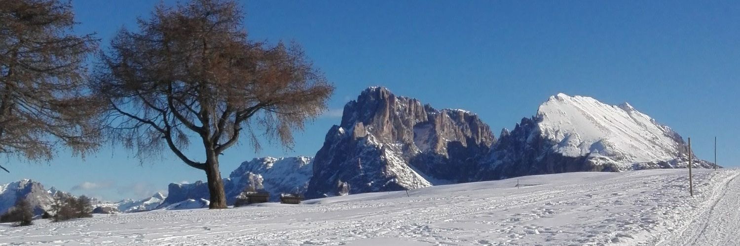 Francesco Morri 🇮🇹🇺🇦🕊️🤍🖤 banner