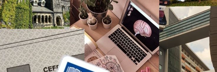 dila²6 📚💤 banner