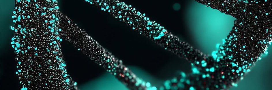 LeBiomedico's profile banner image