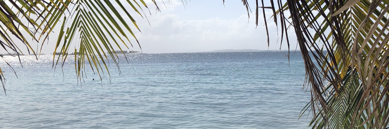 lulisper's profile banner image