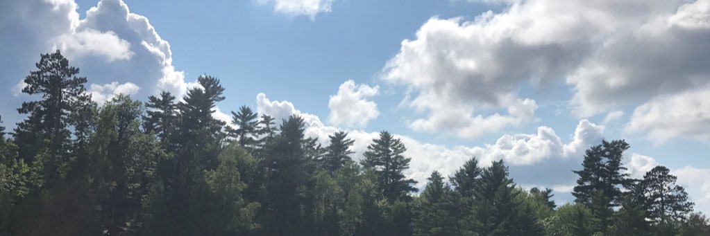 VannessMaddie's profile banner image