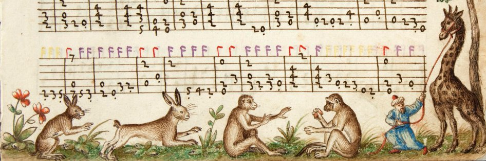 Gustavo A. Ballen banner