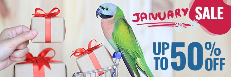 ParrotEssential's profile banner image