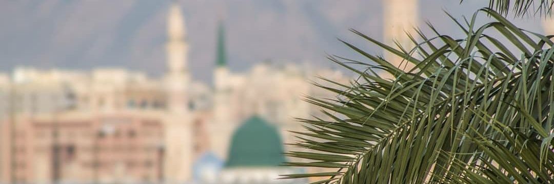 علي العامري banner