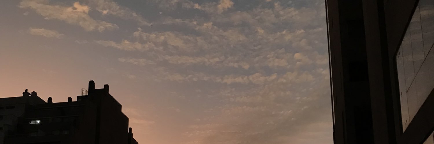 rogorosito's profile banner image