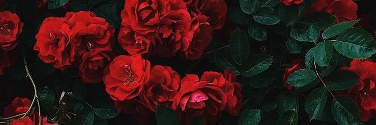 JGO730's profile banner image