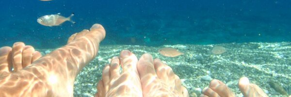 Hairyapples Profile Banner