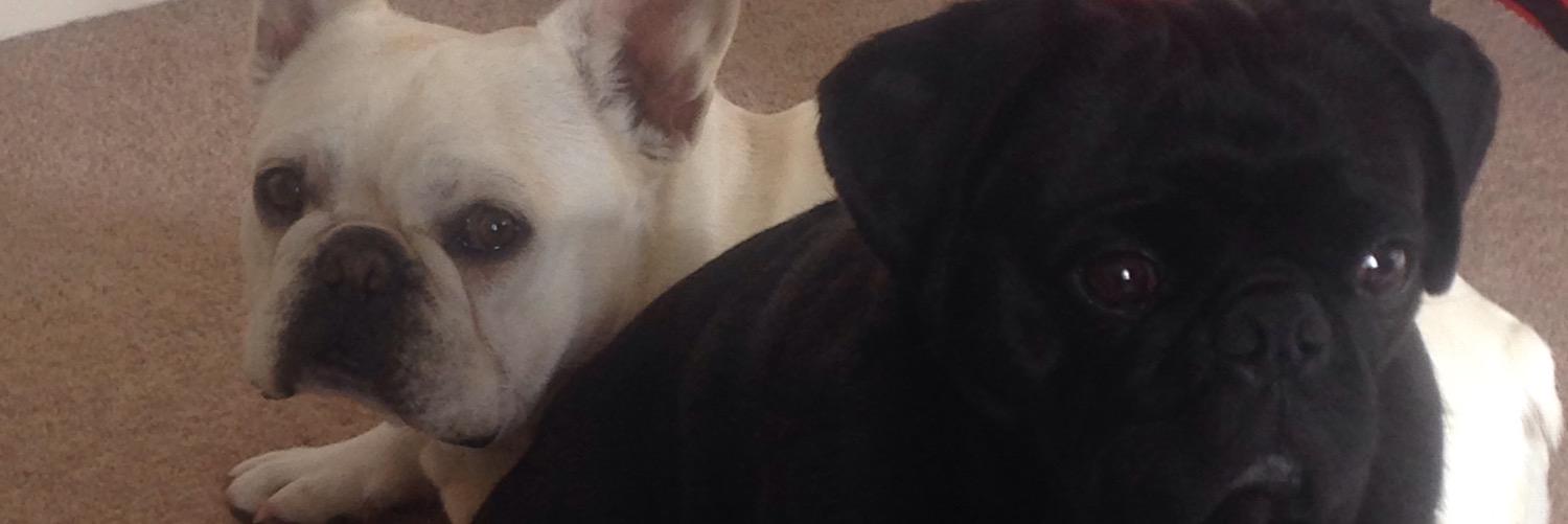 HendyThePlotter's profile banner image