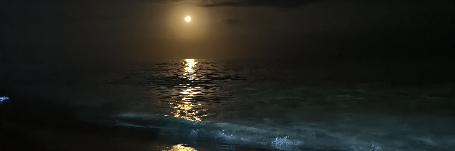 elsenossi_7's profile banner image