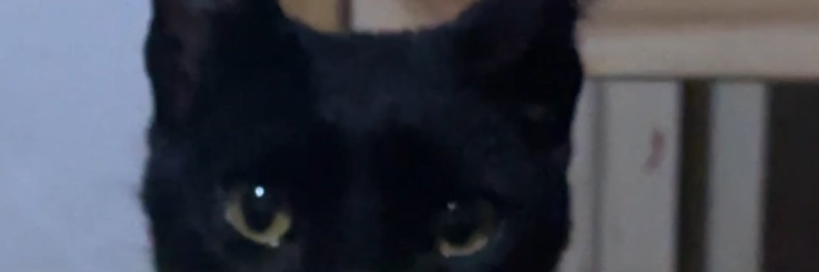 Cooooobi's profile banner image