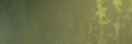 Arlic Ashcombe(งานยุ่งค่ะ แวบๆมา) banner