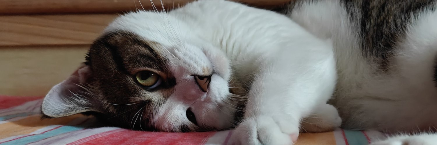 lazyice0129's profile banner image