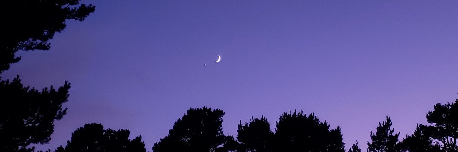 JadaArmenta's profile banner image