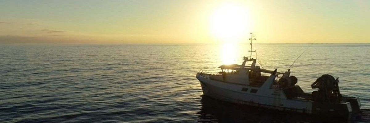 alexialeonelli's profile banner image