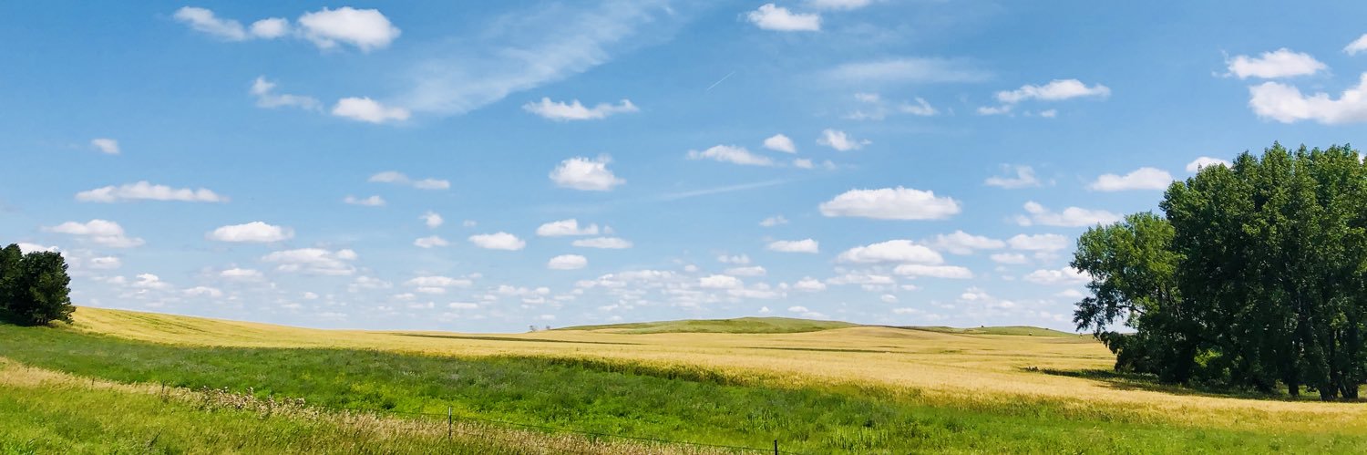 jenntufaro's profile banner image