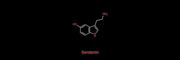 serotoninwave Profile Banner
