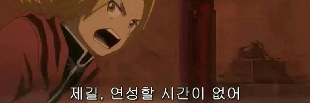 국화과의 여러해살이풀's banner
