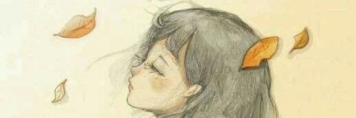 NAN__464's profile banner image
