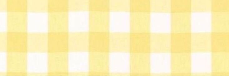 xochil 🌼's banner