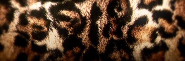 travtism Profile Banner