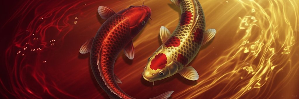 Iowa EveryJer banner