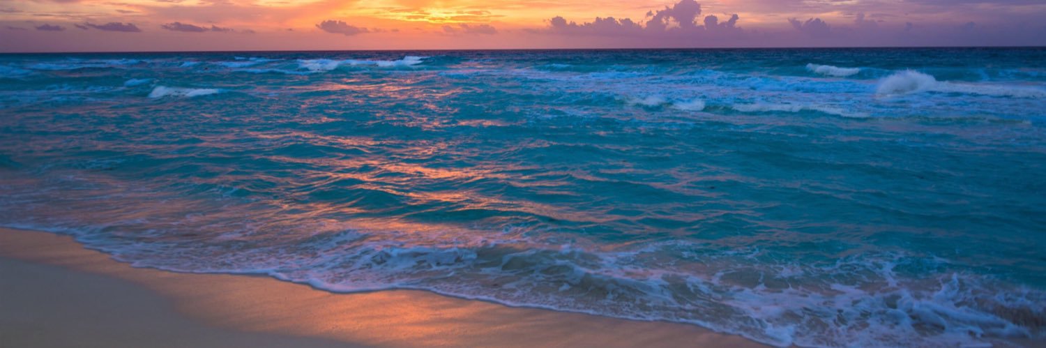 grillo_ant's profile banner image