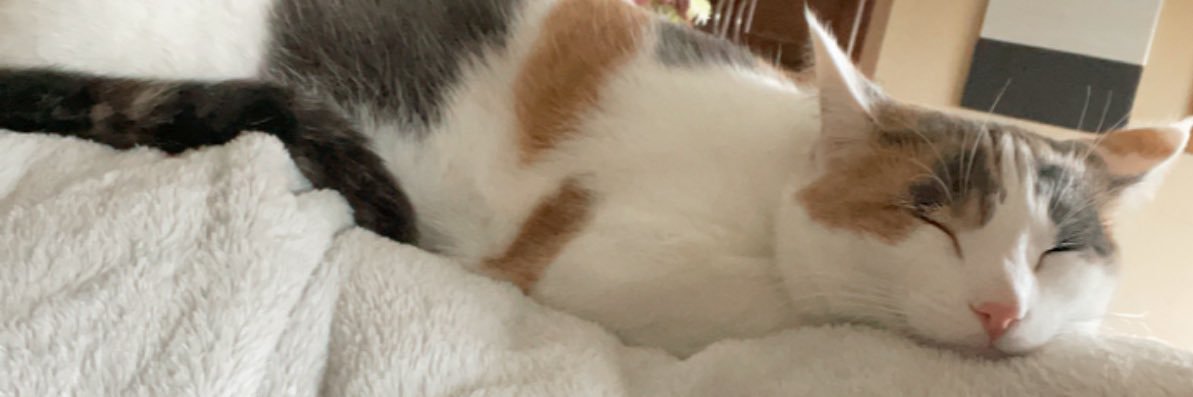 GretchGreta's profile banner image