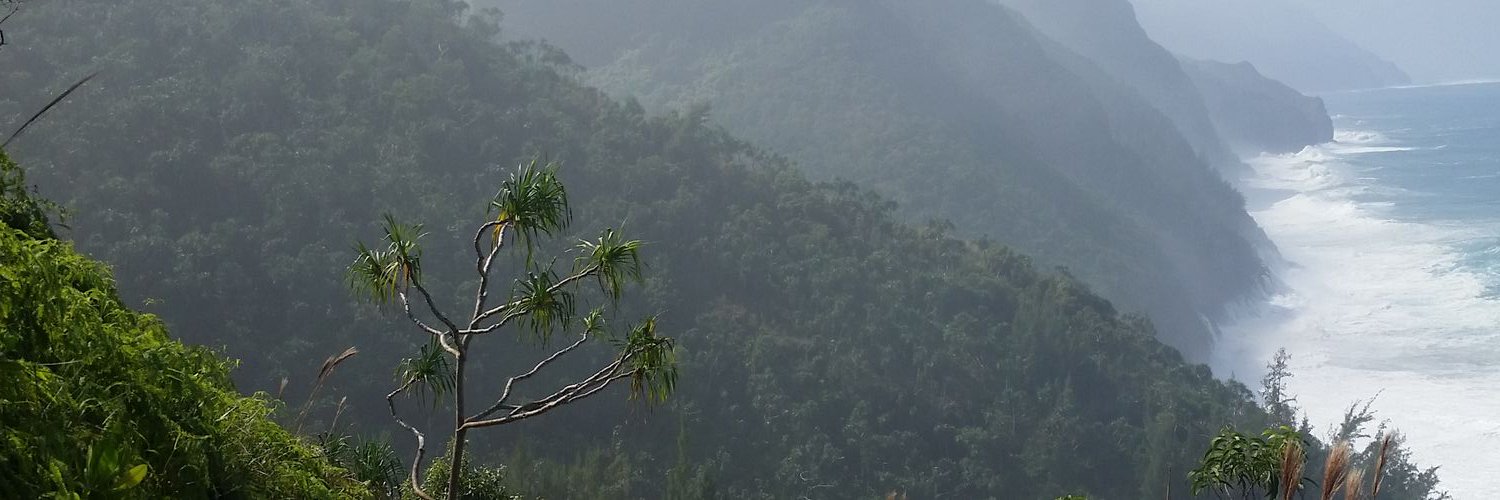 allisonepeck's profile banner image