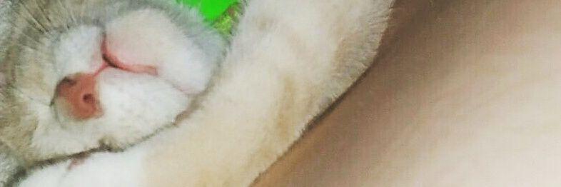 MsBeautyKiller's profile banner image