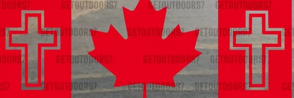 David McCoy banner
