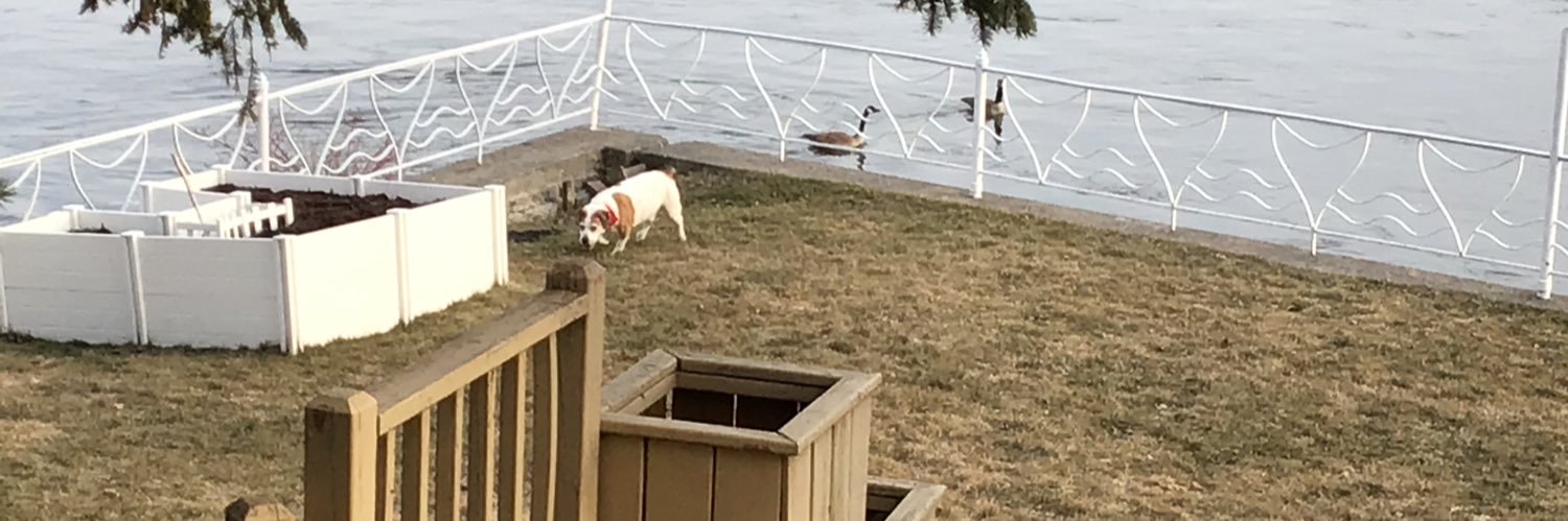 lawrence bass banner