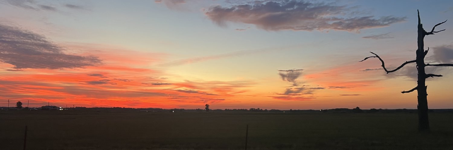 glendas831's profile banner image