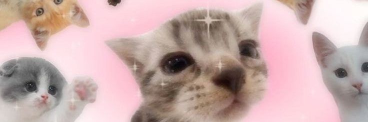 factorieangel's profile banner image