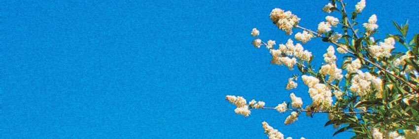 jsac_'s profile banner image