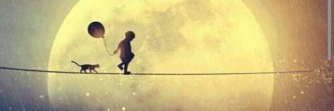 q8y_shr7's profile banner image