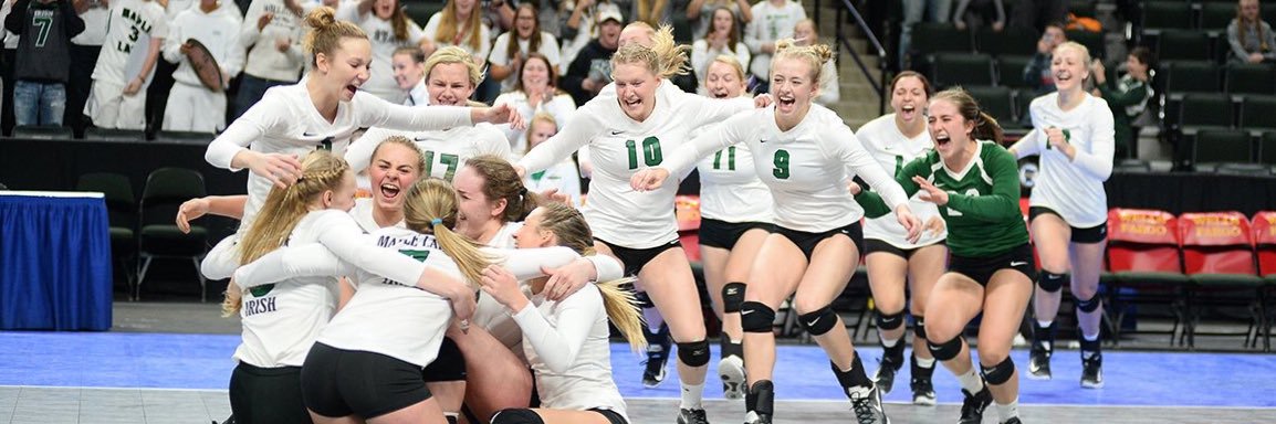 Maple Lake Irish VB banner