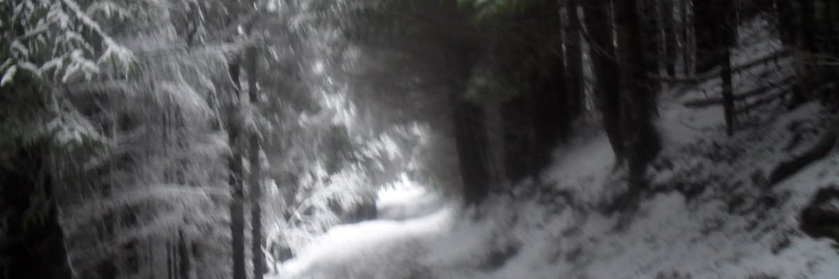 vinnie 🪼the man that chases the light banner