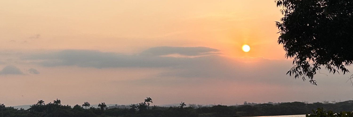 diegoplua's profile banner image