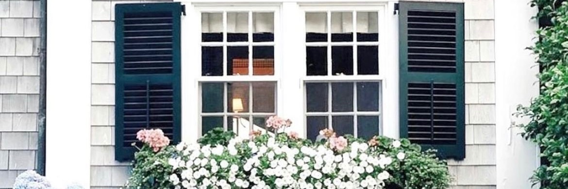 CapeCodKitty 📈📊🇺🇸🪴✝️ banner