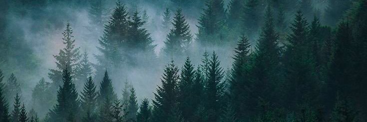 𝒆𝒄𝒍𝒊𝒑𝒔𝒆 ┆ 𝐒𝐭✰𝐫𝐠𝐢𝐫𝐥 .𖥔 ݁ ˖ banner