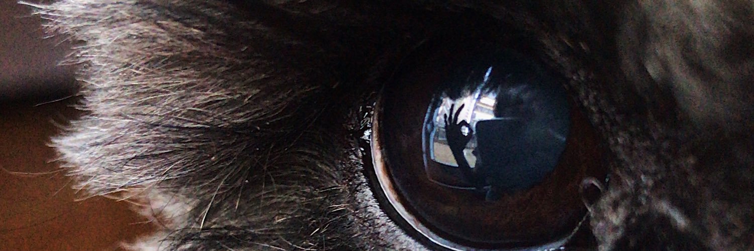 milufort's profile banner image