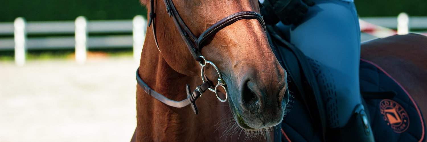 marshavoices's profile banner image