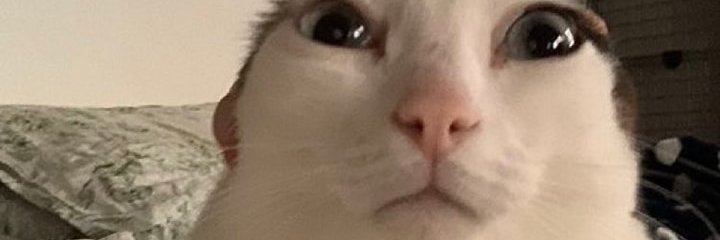 ButFirstIvana's profile banner image