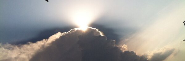 Moneymight Profile Banner