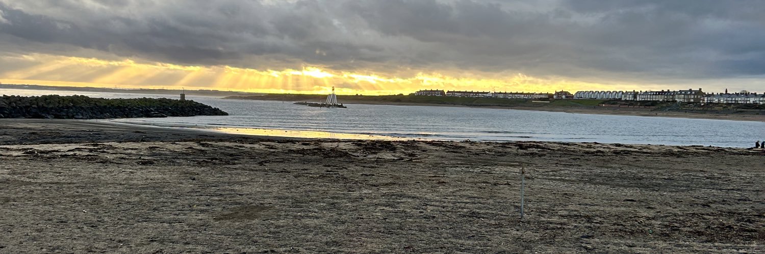 CeeCee 🐻💜 banner